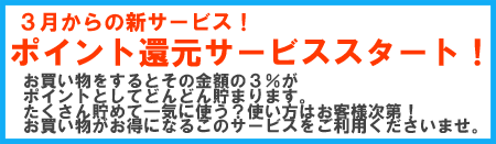 �|�C���g�T�[�r�X�X�^�[�g